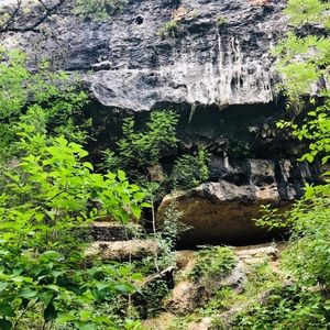 Meet your Posher, Arianna